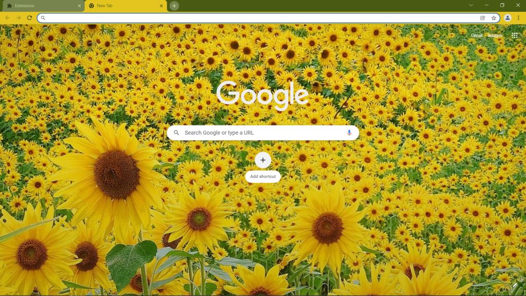 Sunflower Backgrounds Theme 