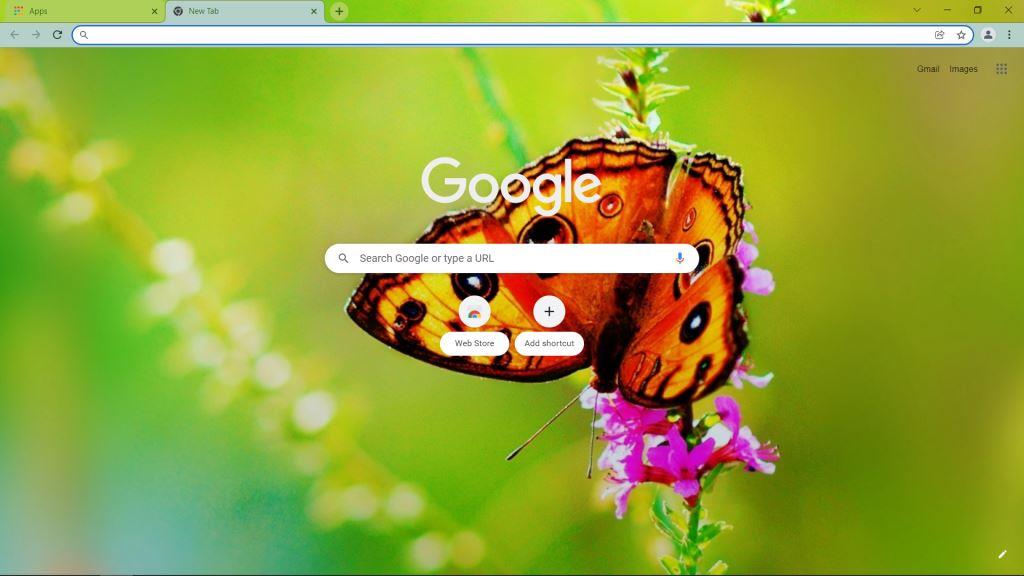 Theme Nature Spring for Google Chrom