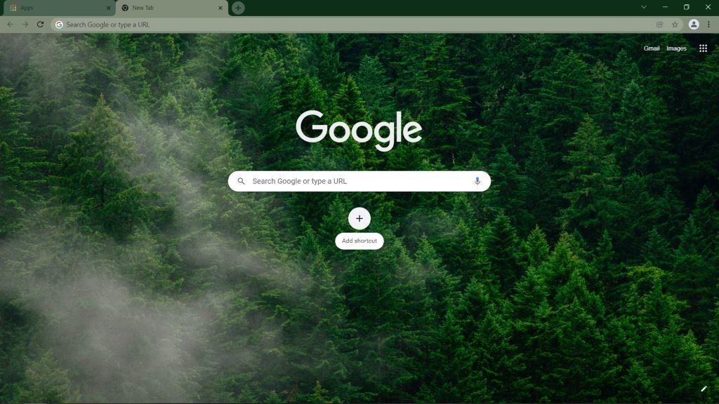 Forest Aerial View Theme for Google Chrome