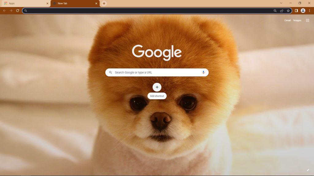 Boo Dog Theme for Google Chrome