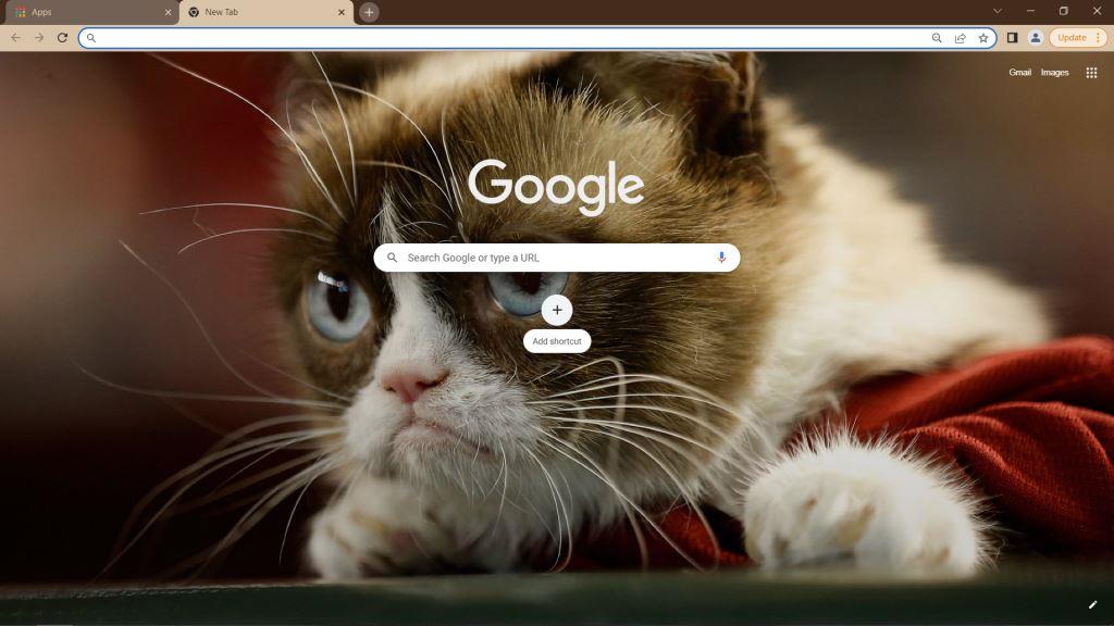 Grumpy Cat Google Chrome Theme