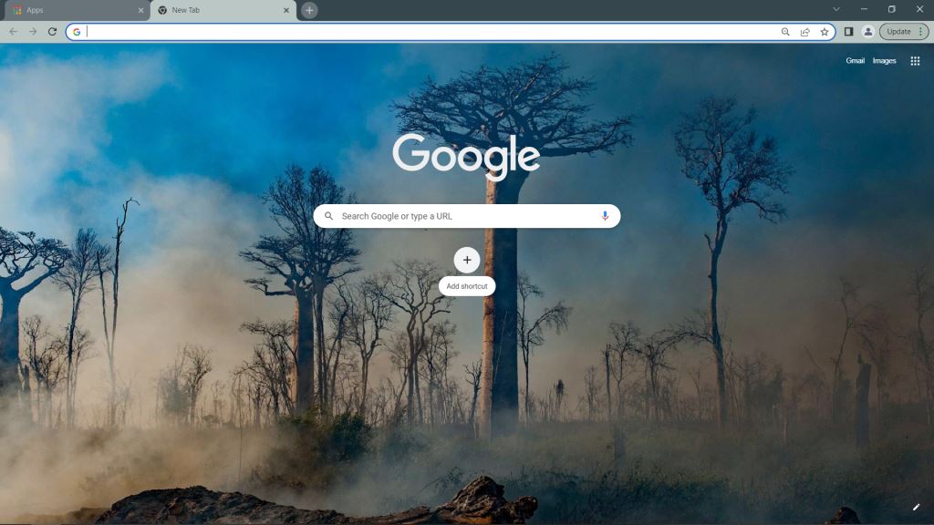 Baobab Forest Google Chrome Theme