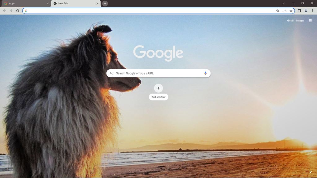 Dog Beach Google Chrome Theme
