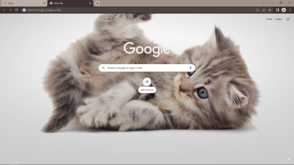 Kitten Google Chrome Theme