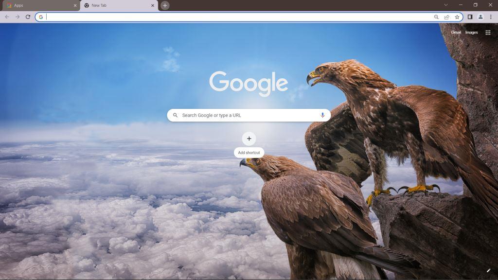Eagles Google Chrome Theme